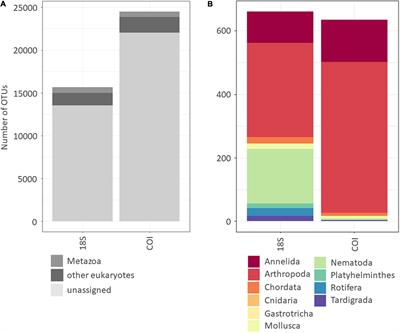 Unearthing the Potential of Soil eDNA Metabarcoding—Towards Best Practice Advice for Invertebrate Biodiversity Assessment